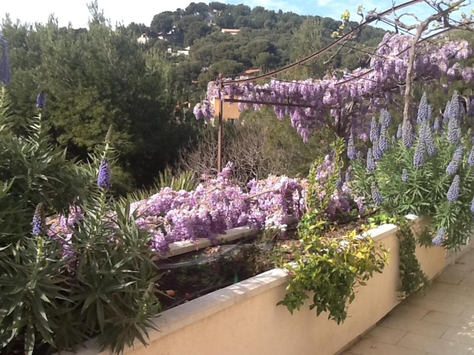 Villa L'Attalaya Ensues-la-Redonne Exteriör bild